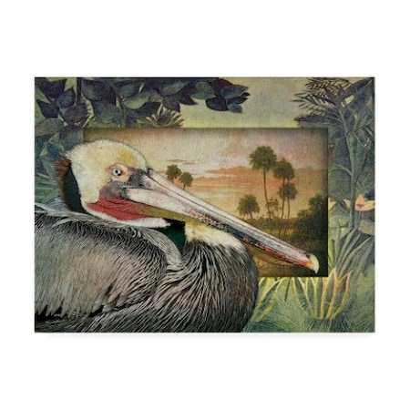 Steve Hunziker 'Pelican Paradise I' Canvas Art,24x32